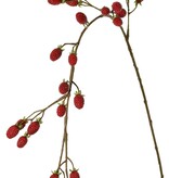 Rama de mora (Rubus) 'Fruity Art' grande, con 26 moras (17 L/ 9 M), 102 cm