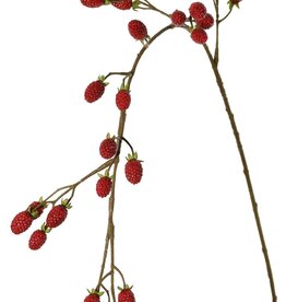 Blackberry branch (Rubus) 'Fruity Art' large, with 26 blackberries (17 L/ 9 M), 102 cm