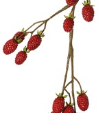 Blackberry branch (Rubus) 'Fruity Art' large, with 26 blackberries (17 L/ 9 M), 102 cm