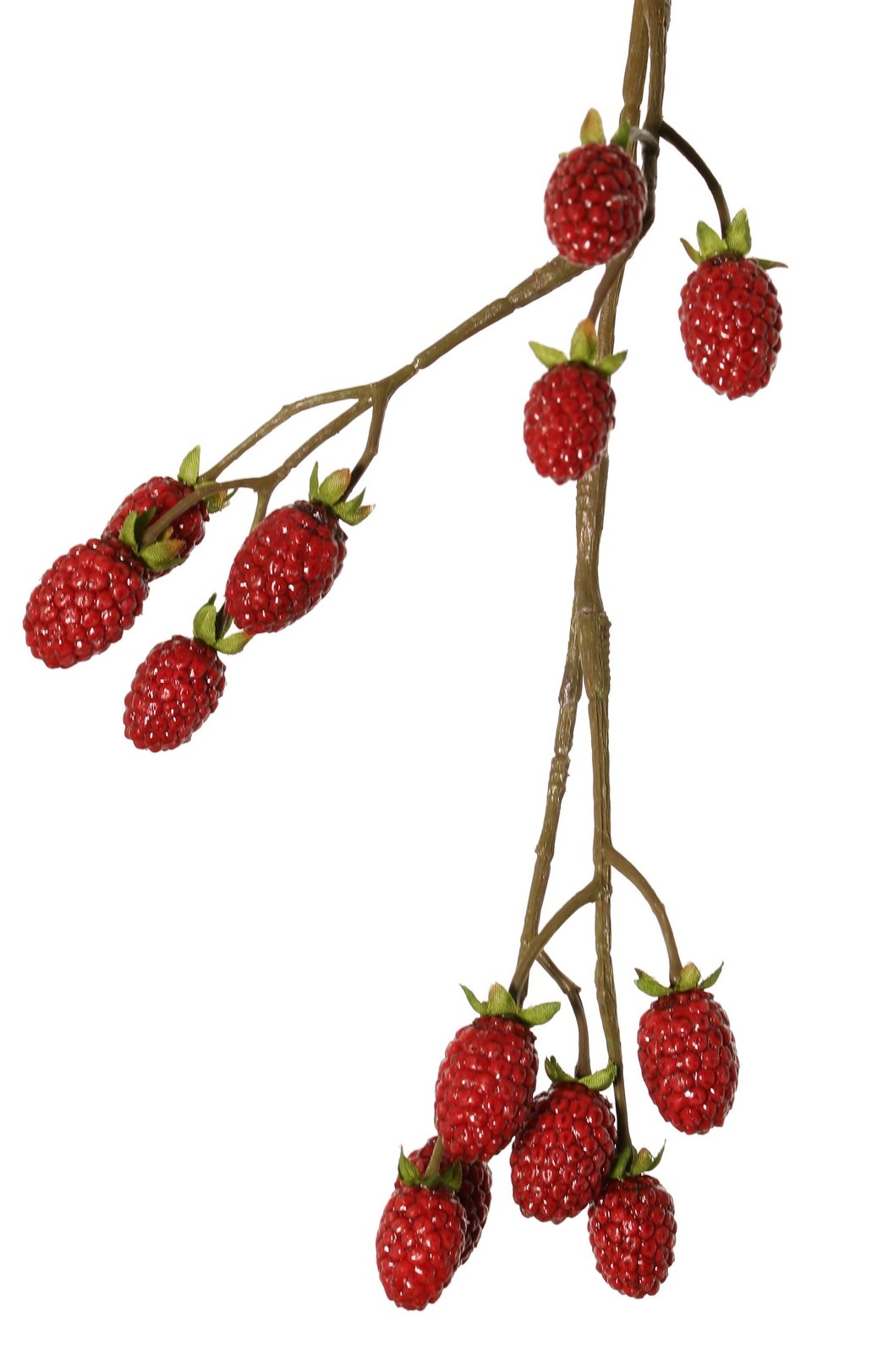 Brombeerzweig (Rubus) 'Fruity Art' groß, mit 26 Brombeeren (17 L/ 9 M), 102 cm