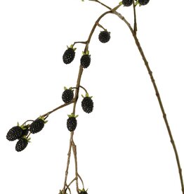 Blackberry branch (Rubus) 'Fruity Art' large, with 26 blackberries (17 L/ 9 M), 102 cm