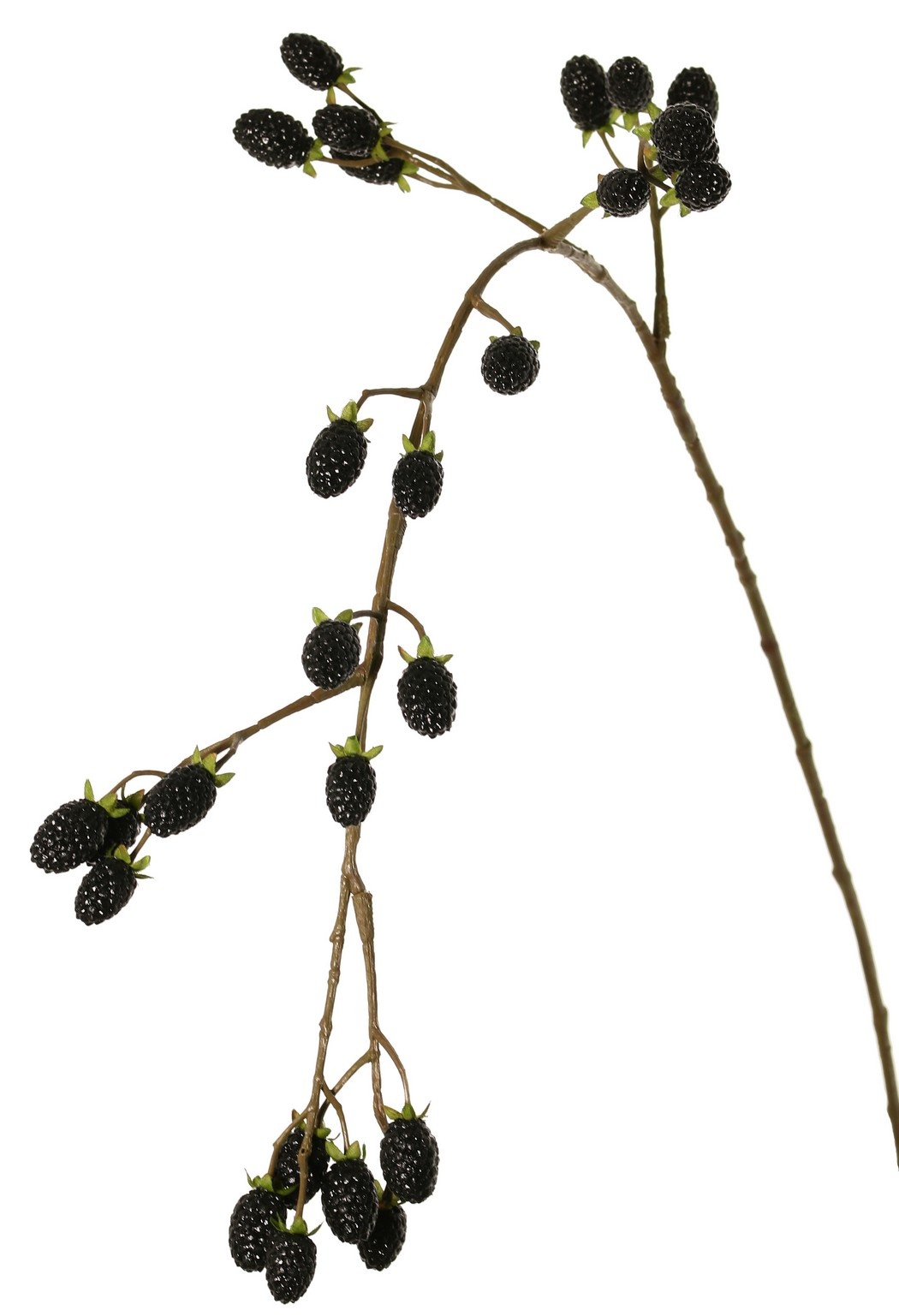 Blackberry branch (Rubus) 'Fruity Art' large, with 26 blackberries (17 L/ 9 M), 102 cm