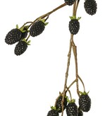 Brombeerzweig (Rubus) 'Fruity Art' groß, mit 26 Brombeeren (17 L/ 9 M), 102 cm