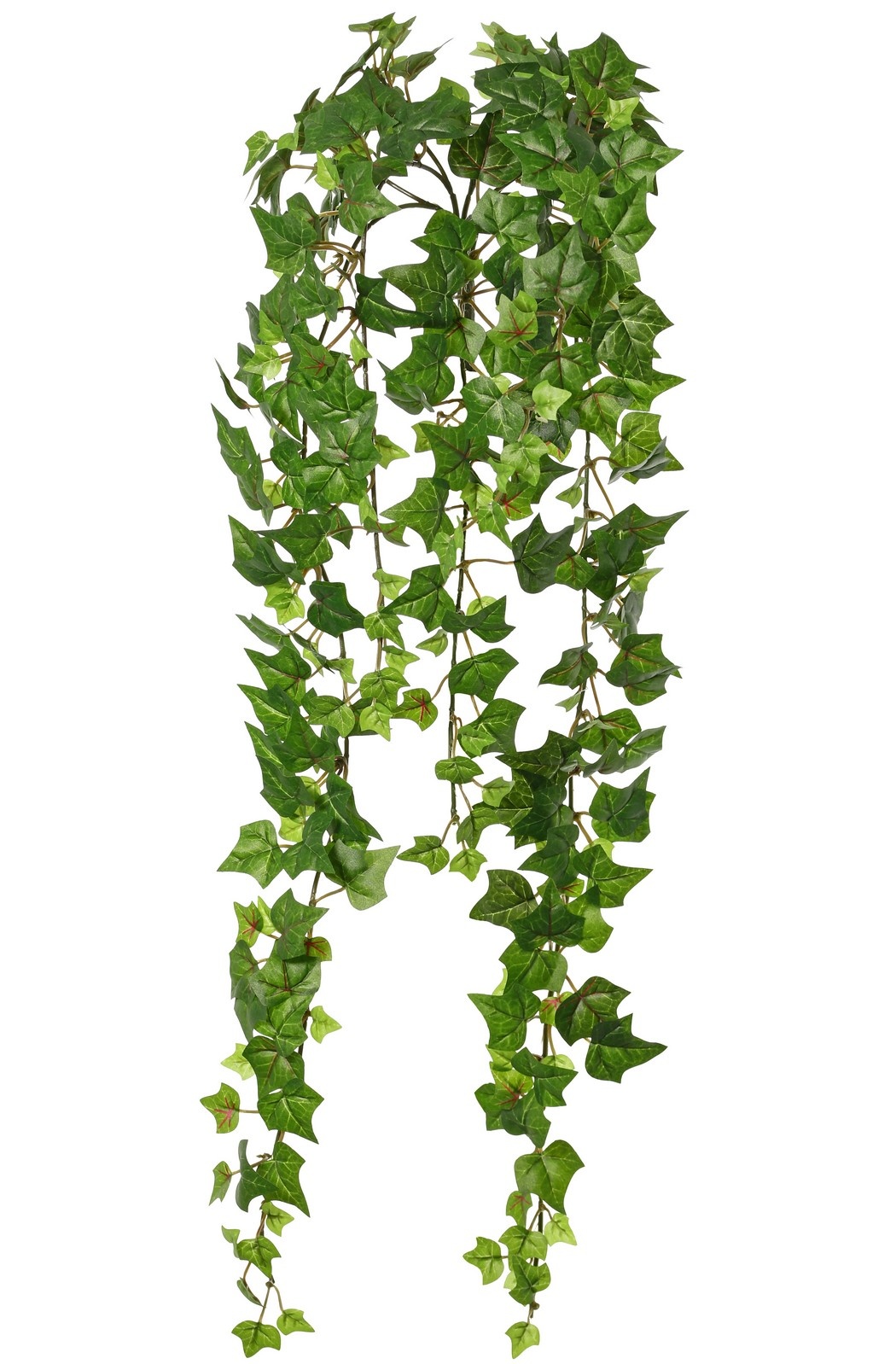 Hedera-Pflanze (Efeu) 'Prime' mit 5 Ablegern & 317 Polyesterblättern, L 60 cm, Ø 25 cm