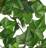 Hedera plant (Ivy) 'prime' with 5 offshoots & 317 polyester leaves, L 60 cm, Ø 25 cm