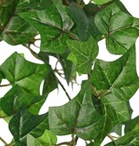 Planta Hedera (Ivy) 'prime' con 5 retoños y 317 hojas de poliéster, L 60 cm, Ø 25 cm
