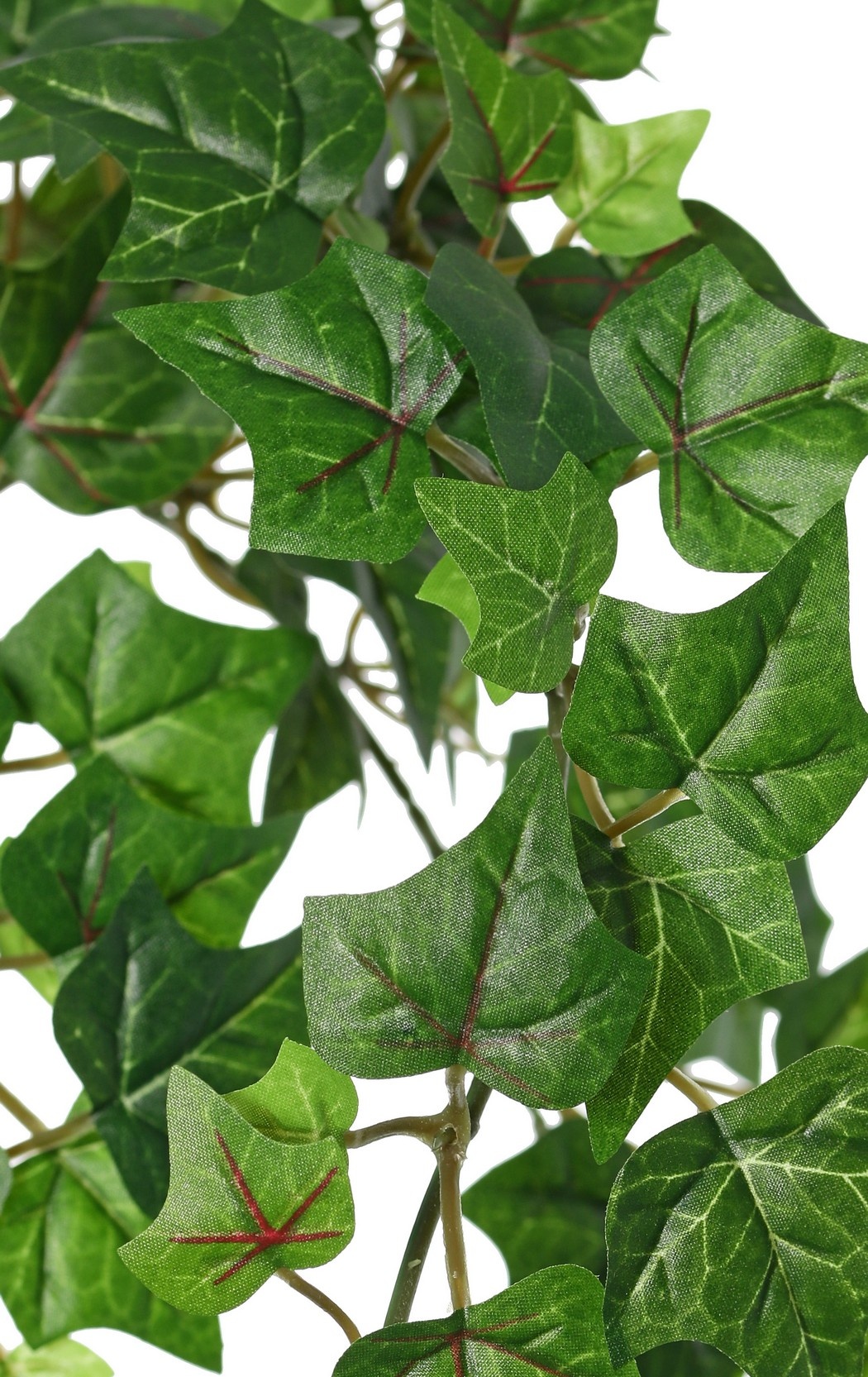 Planta Hedera (Ivy) 'prime' con 5 retoños y 317 hojas de poliéster, L 60 cm, Ø 25 cm