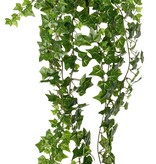 Planta Hedera (Ivy) 'prime' con 18 retoños y 504 hojas de poliéster, L 70 cm, Ø 35 cm