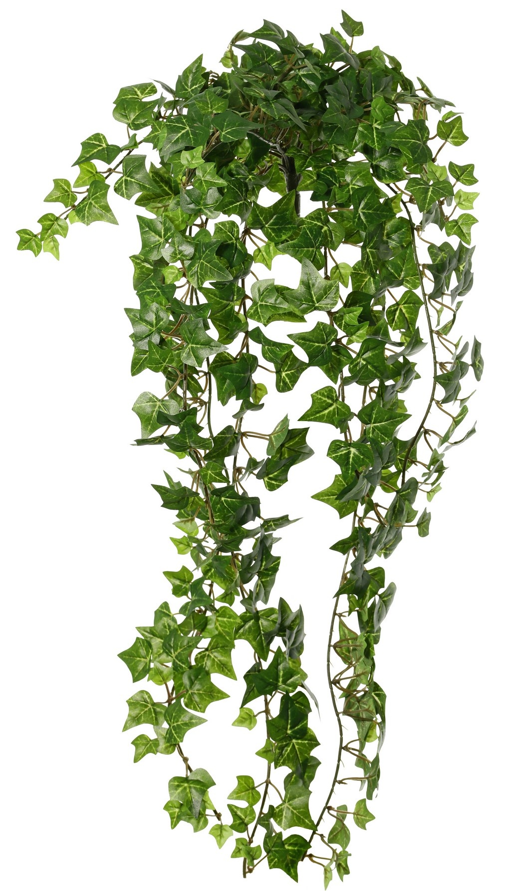 Hedera-Pflanze (Efeu) 'Prime' mit 18 Ablegern & 504 Polyesterblättern, L 70 cm, Ø 35 cm
