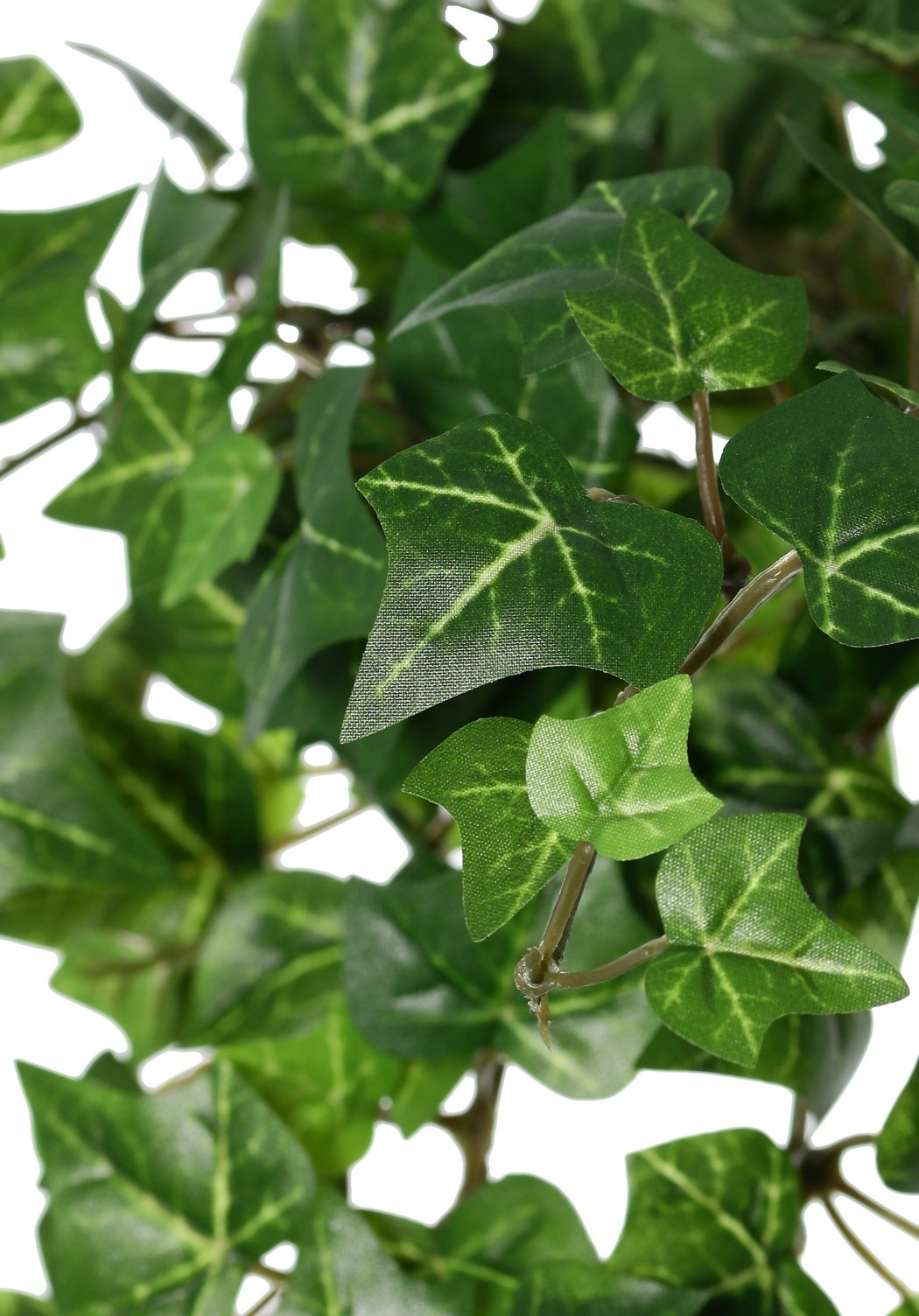 Planta Hedera (Ivy) 'prime' con 18 retoños y 504 hojas de poliéster, L 70 cm, Ø 35 cm