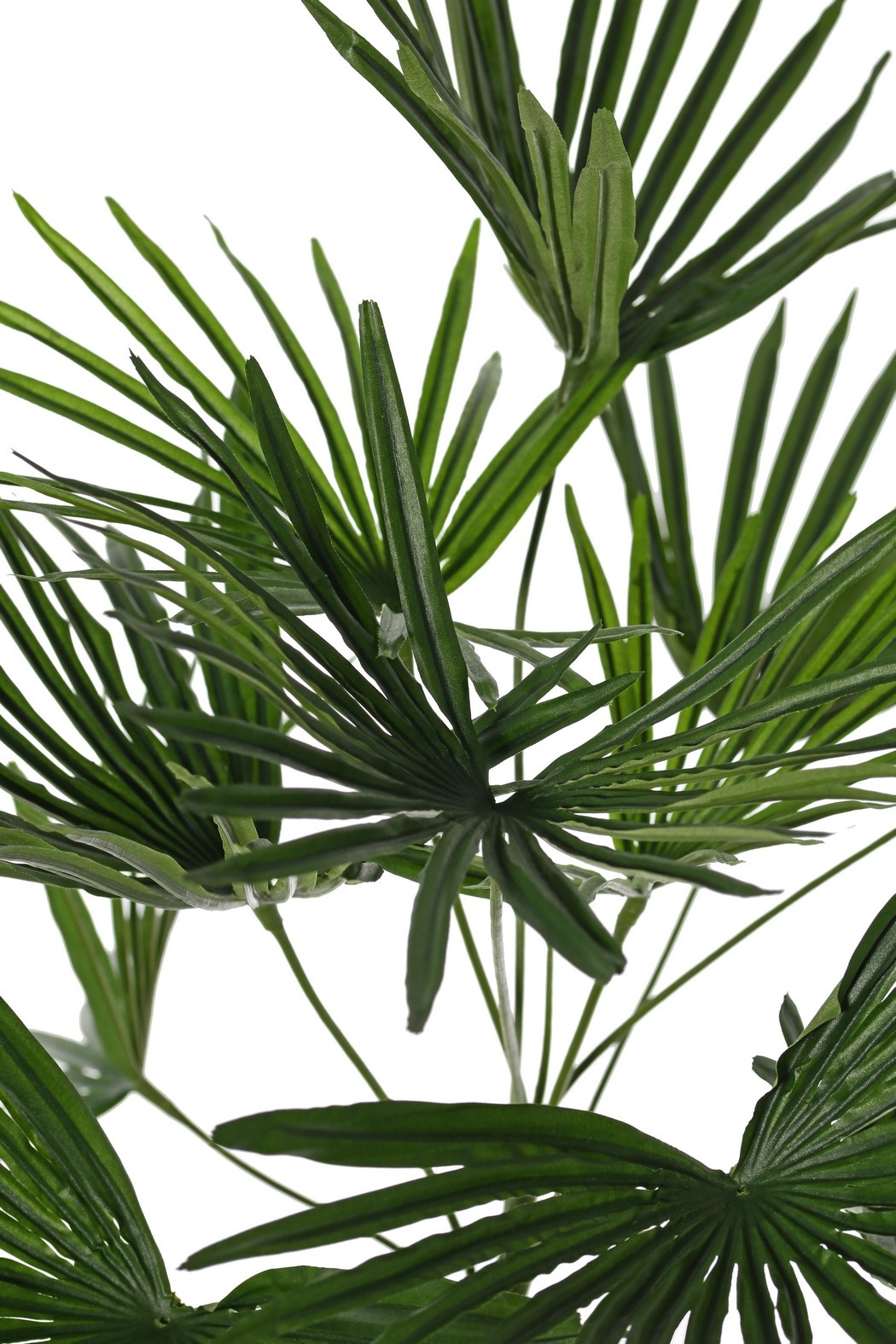 Baby fan palm met 11 polyester bladeren, H 50 cm, Ø 65 cm, UV bestendig