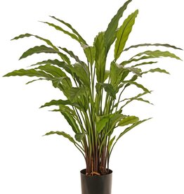 Calathea rufibarba (green) with 55 polyester leaves, Ø 50 cm, H 80 cm, in pot