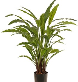 Calathea rufibarba (groen) met 55 polyester bladeren, Ø 50 cm, H 80 cm, in pot