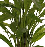 Calathea rufibarba (groen) met 55 polyester bladeren, Ø 50 cm, H 80 cm, in pot