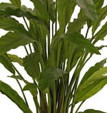 Calathea rufibarba (verde) con 55 hojas de poliéster, Ø 50 cm, alt. 80 cm, en maceta