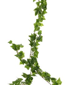 Guirnalda de hedera (Ivy) 'prime', con 160 hojas de poliéster, 180 cm