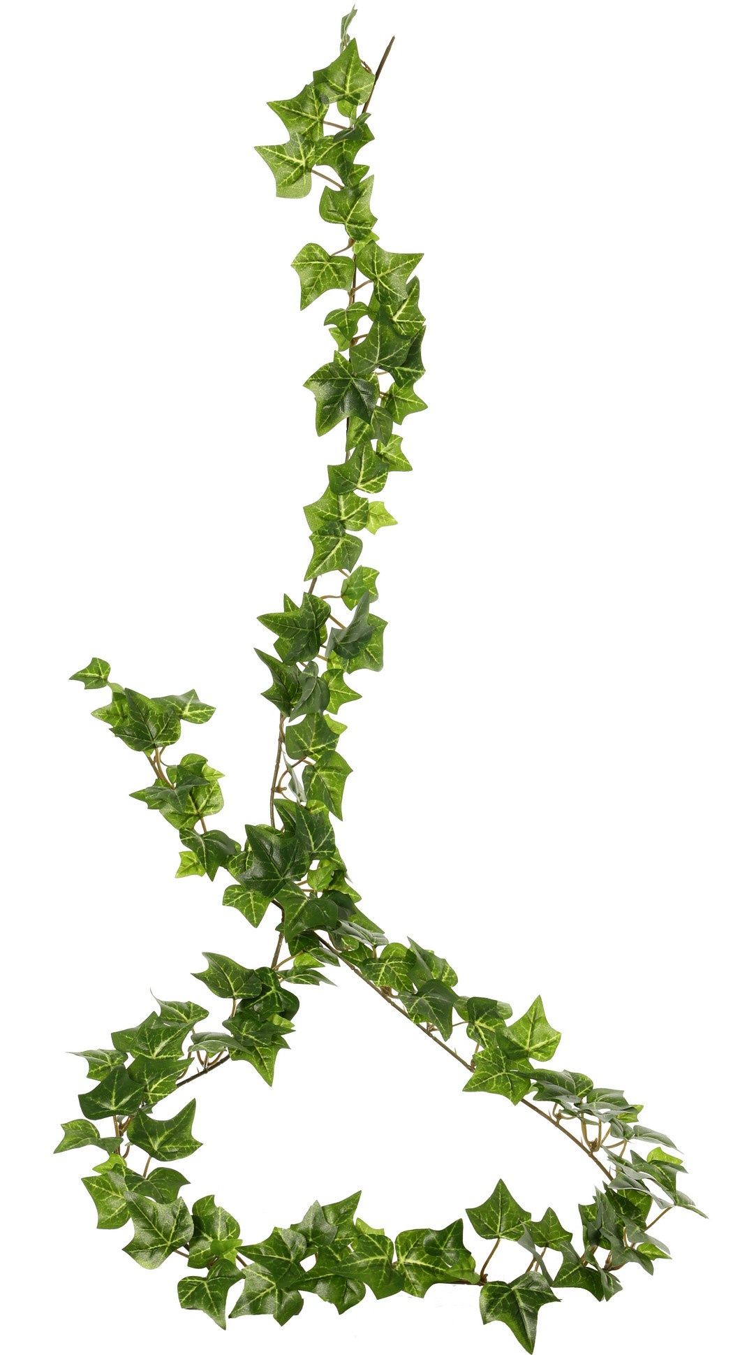 Hedera garland (Ivy) 'prime', with 160 polyester leaves, 180 cm