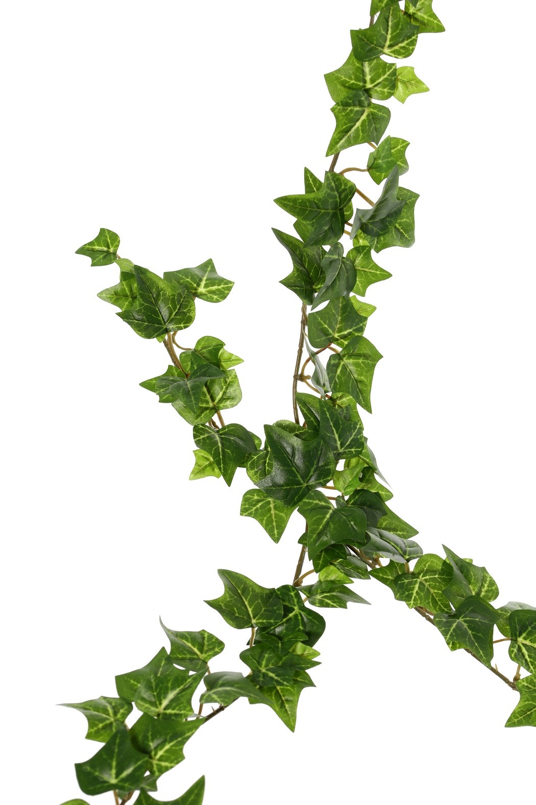 Guirnalda de hedera (Ivy) 'prime', con 160 hojas de poliéster, 180 cm