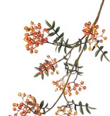 Rama de baya de serbal (Sorbus) con 24 racimos de bayas, 10 conjuntos de hojas, 111 cm