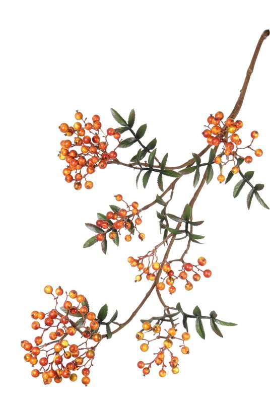 Vogelbeerenzweig (Sorbus) mit 24 Beerenbündeln, 10 Blattsets, 111cm