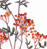 Rama de baya de serbal (Sorbus) con 24 racimos de bayas, 10 conjuntos de hojas, 111 cm