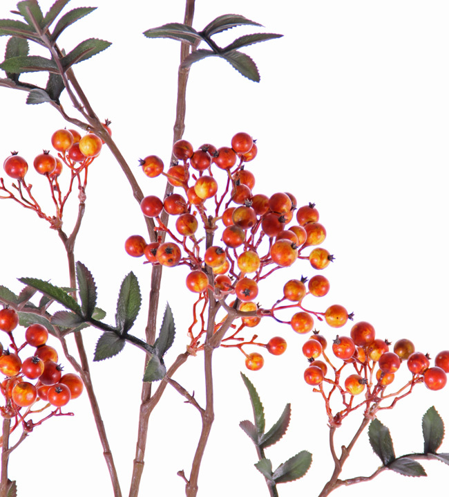 Sorbus branch with 24 cluster berries, 10 sets lvs., 111 cm