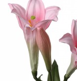 Lilie "longiflorum" (Oster-Lilie) x2 Blumen, x1 Knospe, 7 Blaetter, 76cm