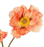 Papaver 'Meadow' met 2 grote bloemen (Ø 13/ 11 cm) & 1 grote knop 7 cm, geflockte steel, 90 cm