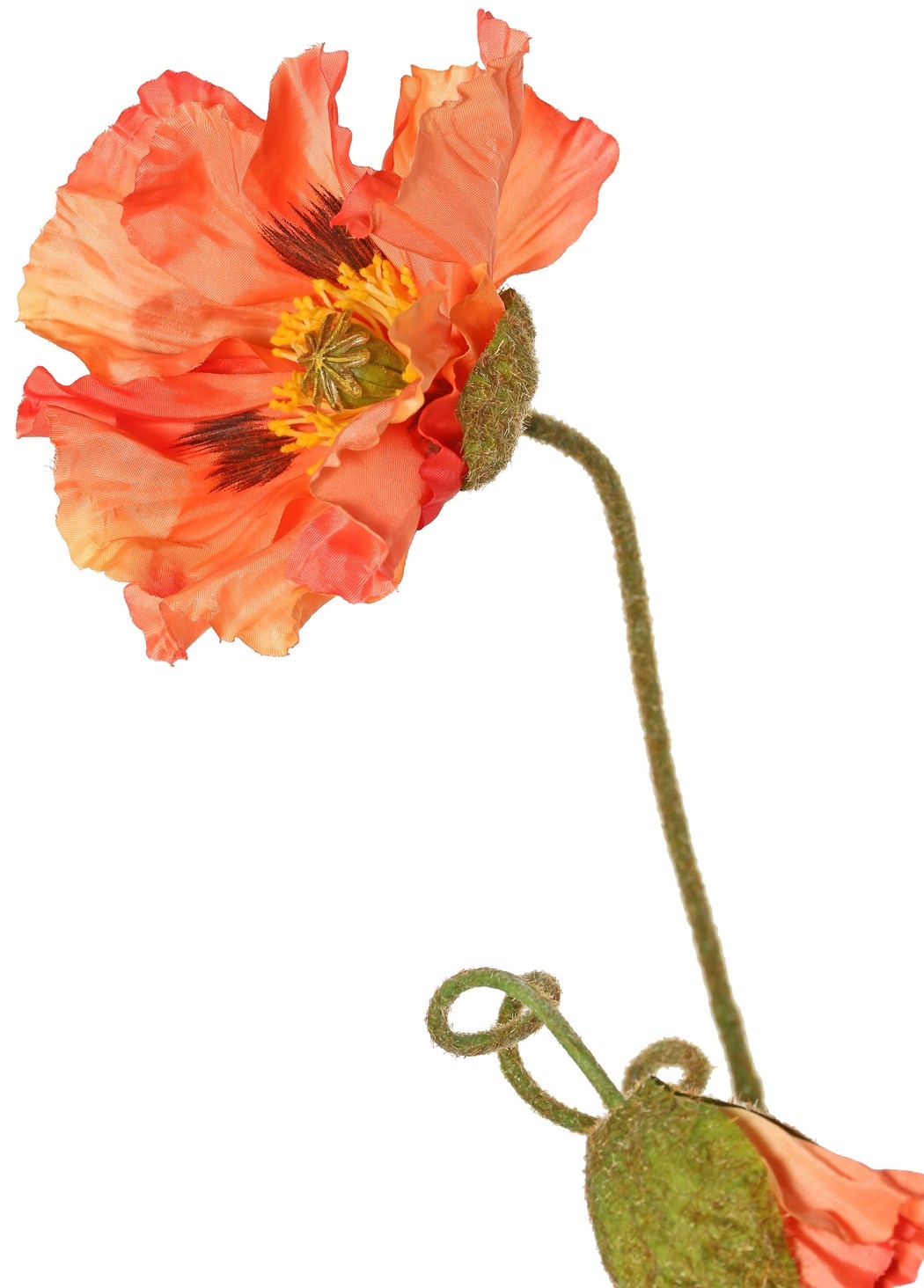 Papaver 'Meadow' met 2 grote bloemen (Ø 13/ 11 cm) & 1 grote knop 7 cm, geflockte steel, 90 cm
