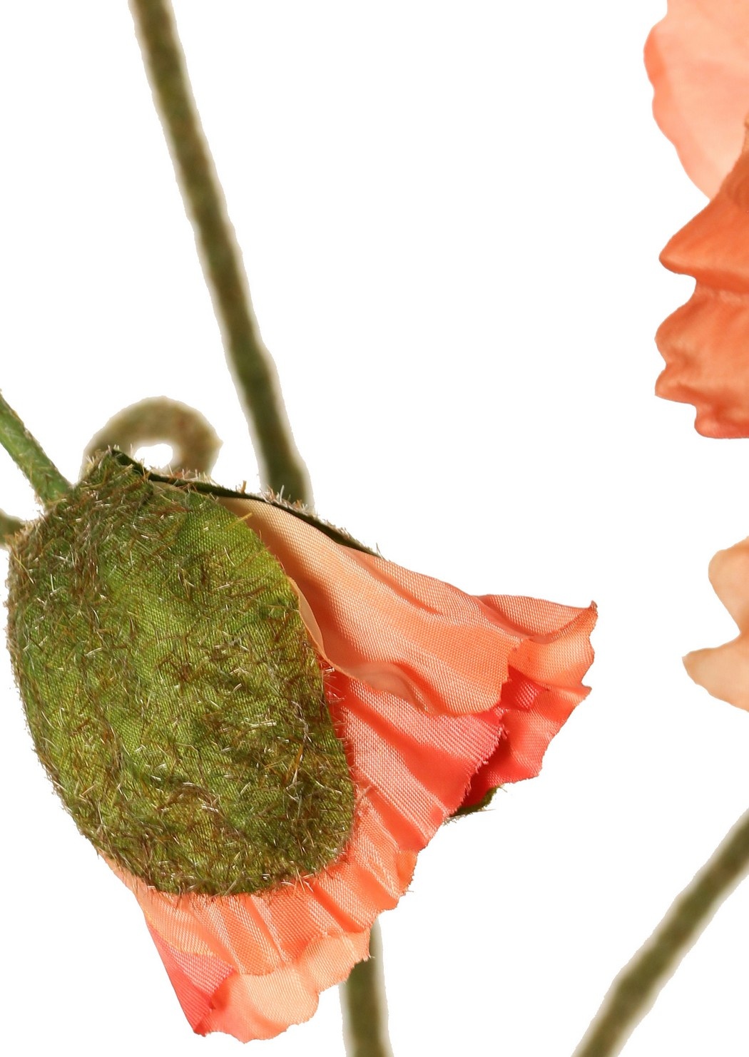 Papaver 'Meadow' met 2 grote bloemen (Ø 13/ 11 cm) & 1 grote knop 7 cm, geflockte steel, 90 cm