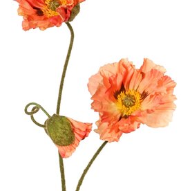 Papaver 'Meadow' met 2 grote bloemen (Ø 13/ 11 cm) & 1 grote knop 7 cm, geflockte steel, 90 cm