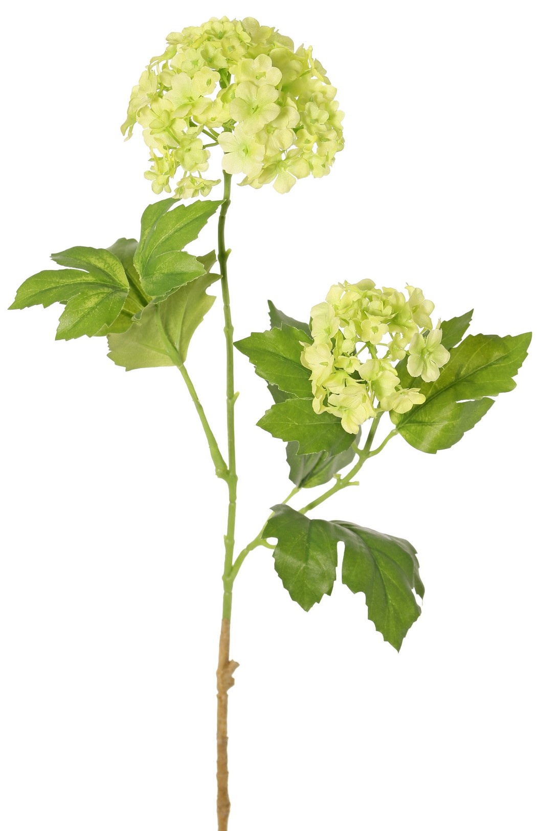 Viburnum (bola de nieve) con 2 inflorescencias (Ø 9 cm/ Ø 6 cm) y 8 hojas (2x XL/4x M/ 2x S) 62 cm