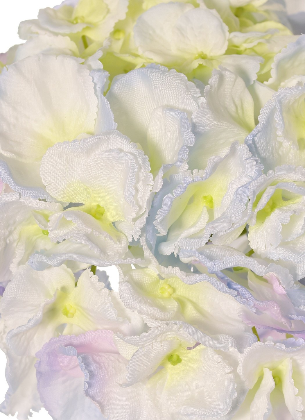 Hydrangea (Hydrangea) 'Max', 1 large flower Ø 20 cm (99 flowers), plastic tube stem, 64 cm