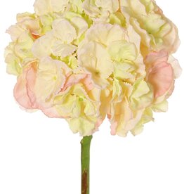 Hydrangea (Hydrangea) 'Max', 1 large flower Ø 20 cm (99 flowers), plastic tube stem, 64 cm