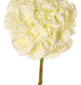 Hydrangea (Hydrangea) 'Max', 1 large flower Ø 20 cm (99 flowers), plastic tube stem, 64 cm