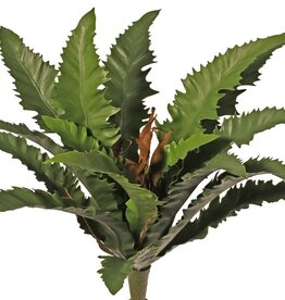 Asplenium 'Dakila' (Bird's Nest Fern), with 16 plastic leaves, Ø 35 cm - UV safe