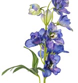 Delphinium (Ridderspoor) met 7 bloemen (Ø 5 cm), 3 knoppen & 1 blad, 50 cm