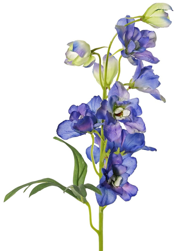 Delphinium (Ridderspoor) met 7 bloemen (Ø 5 cm), 3 knoppen & 1 blad, 50 cm
