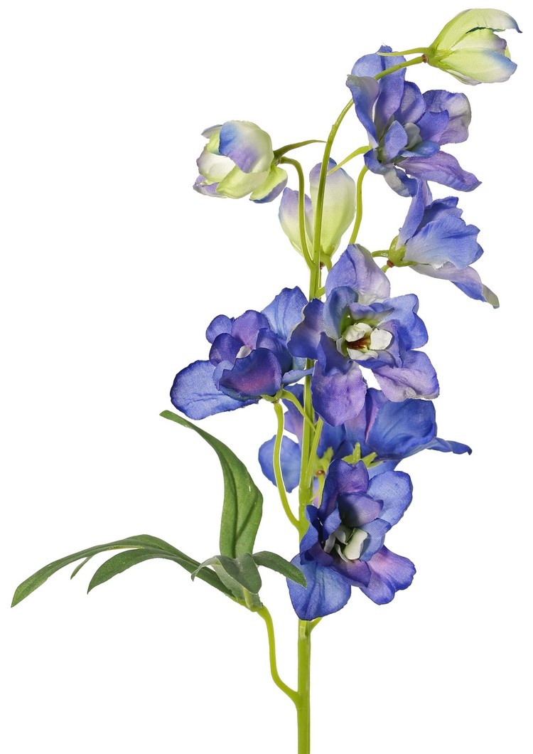 Larkspur (Delphinium) con 7 flores (Ø 5 cm), 3 capullos y 1 hoja, 50 cm