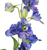Delphinium (Ridderspoor) met 7 bloemen (Ø 5 cm), 3 knoppen & 1 blad, 50 cm