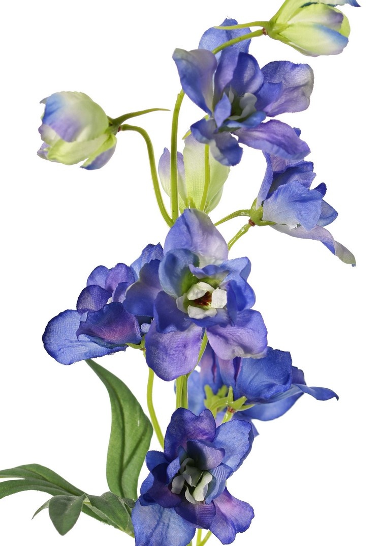 Delphinium (Ridderspoor) met 7 bloemen (Ø 5 cm), 3 knoppen & 1 blad, 50 cm