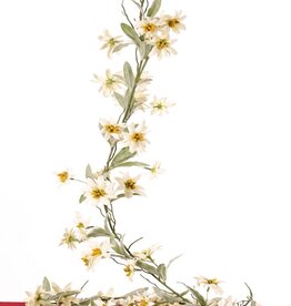 Guirnalda de Edelweiss (Leontopodium), con 72 flores (37L/ 34M) y 36 mechones de hojas (108 en total), 180 cm