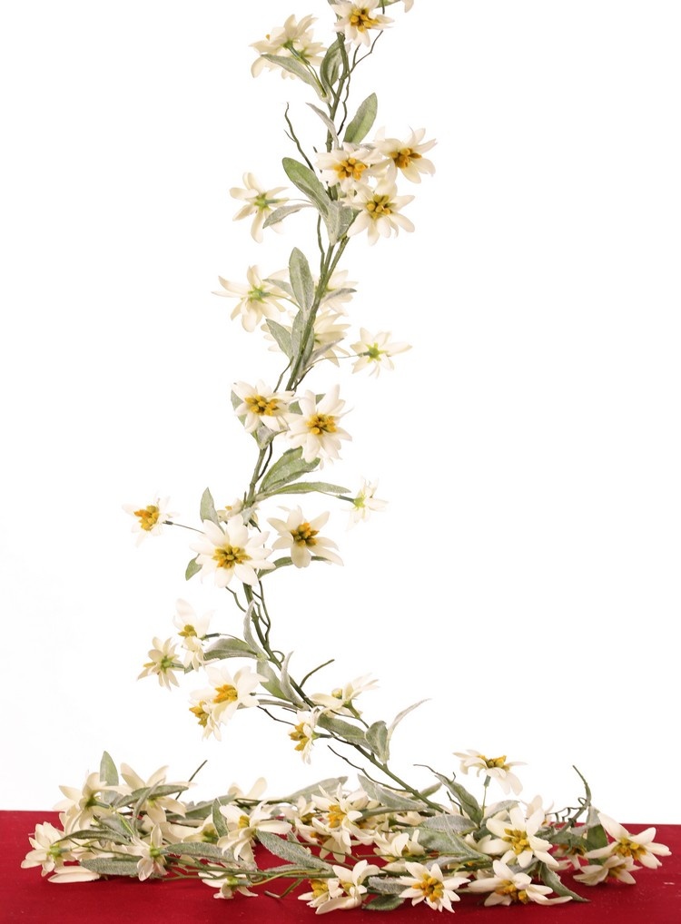 Edelweiss (Leontopodium) slinger, met 72 bloemen (37L/ 34M) & 36 bladtoeven (108 totaal), 180 cm
