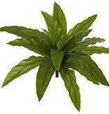 Nest fern (Asplenium), small, with 18 polyester leaves, Ø 45 cm, H 25 cm
