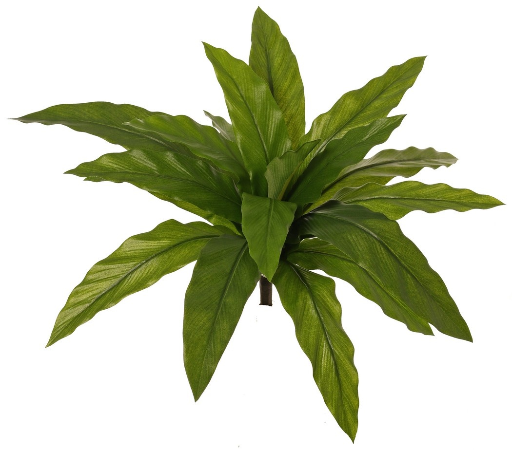 Nest fern (Asplenium), small, with 18 polyester leaves, Ø 45 cm, H 25 cm
