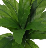 Nest fern (Asplenium), small, with 18 polyester leaves, Ø 45 cm, H 25 cm