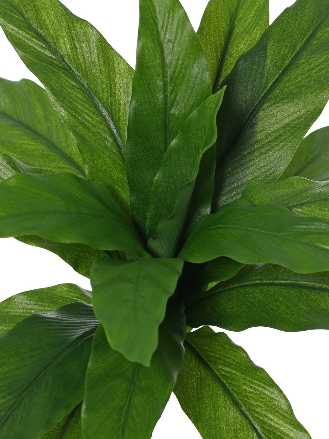 Nest fern (Asplenium), small, with 18 polyester leaves, Ø 45 cm, H 25 cm