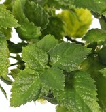 Minze (Mentha) 7 Zweige mit 48 Kunststoffblättern, 20 cm