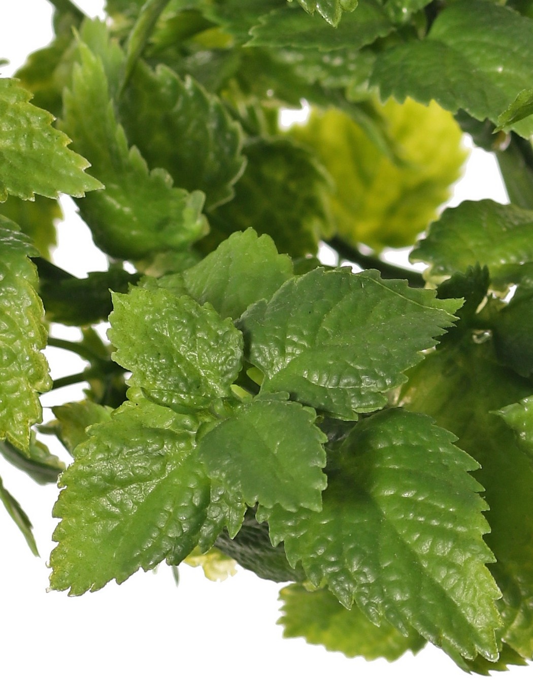 Mint plant (Mentha) 7 shoots with 48 plastic leaves, 20 cm