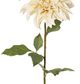 Dahlia 'Green Fall' met 1 bloem, Ø 15 cm, 7 bladeren, 66 cm